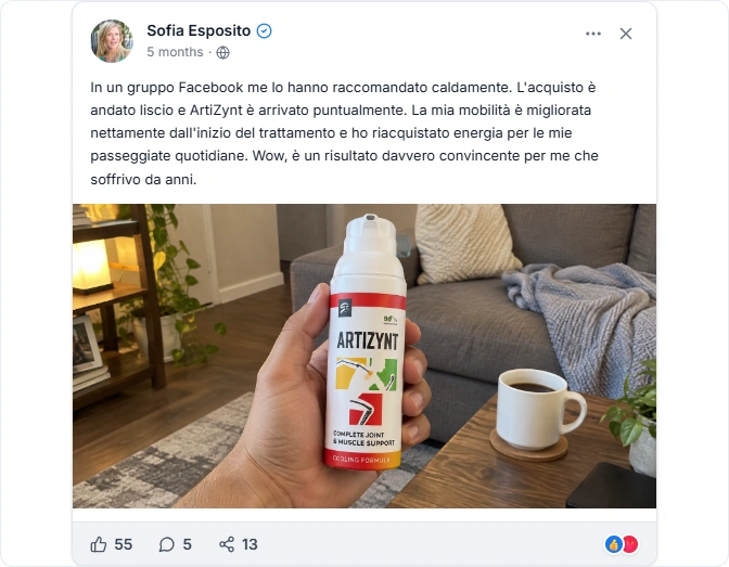 ArtiZynt Facebook recensioni