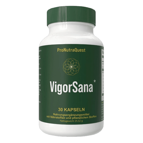 VigorSana
