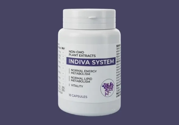 InDiva System Review