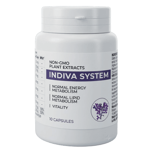 InDiva System