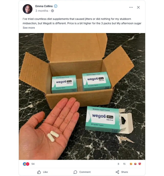 Wego6 Facebook review
