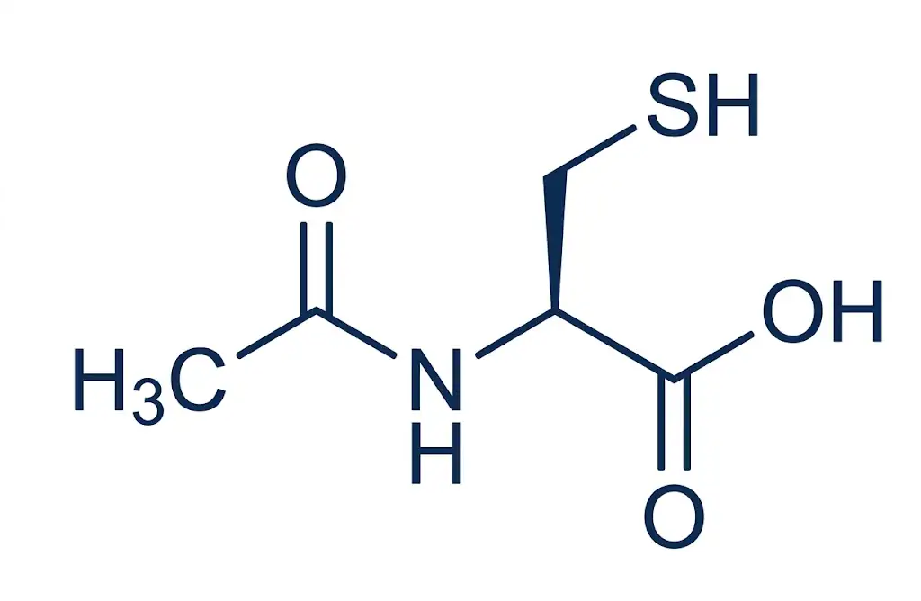 N acétylcystéine