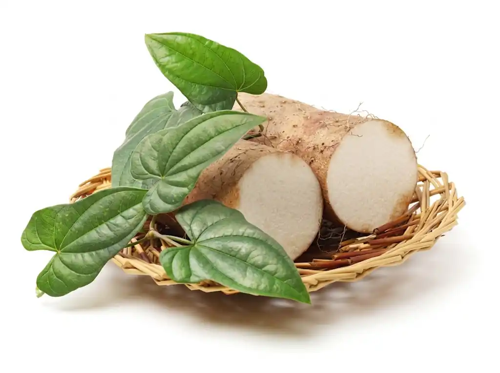Wild Yam